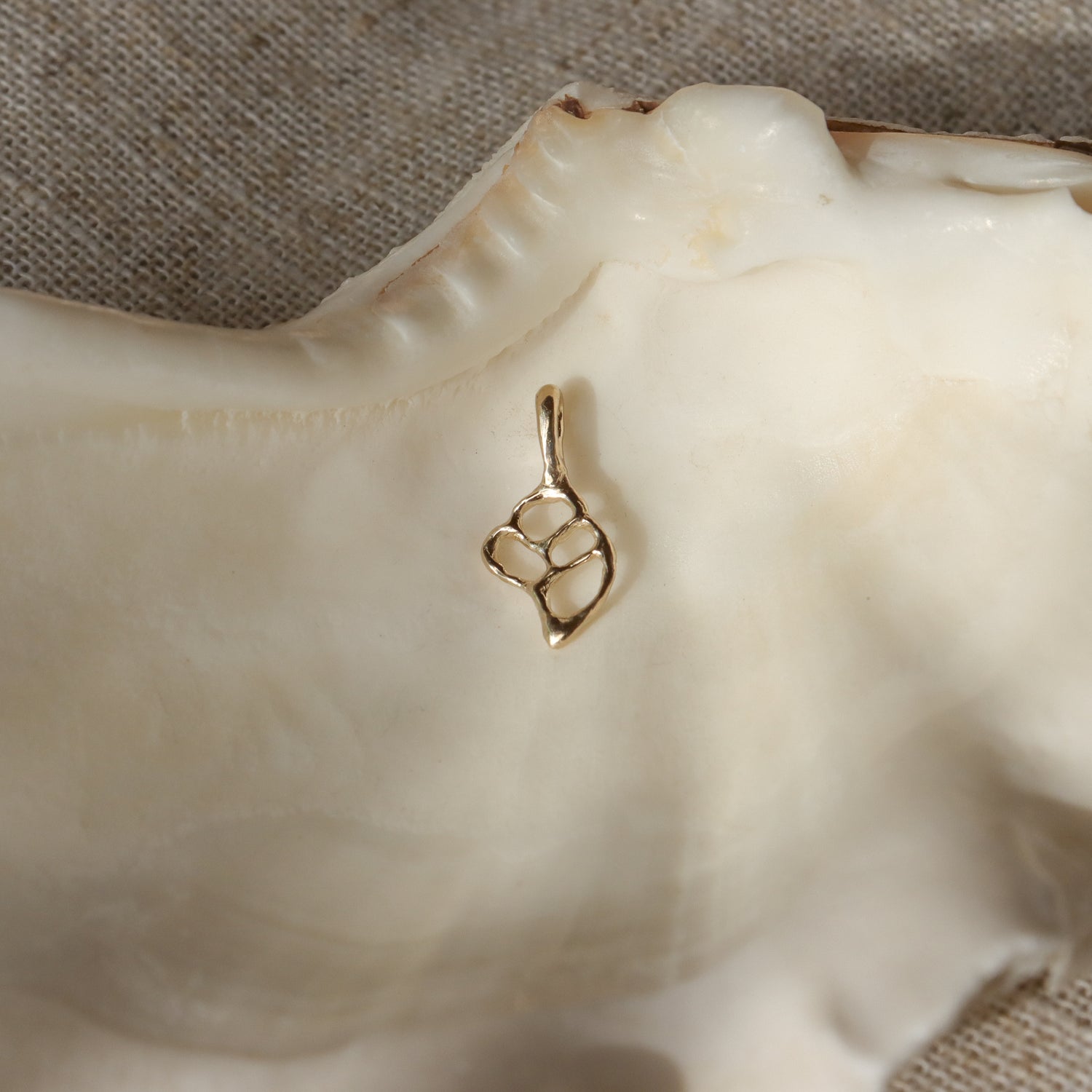 Sacred Sea Charm | 14k Gold Conch Seashell