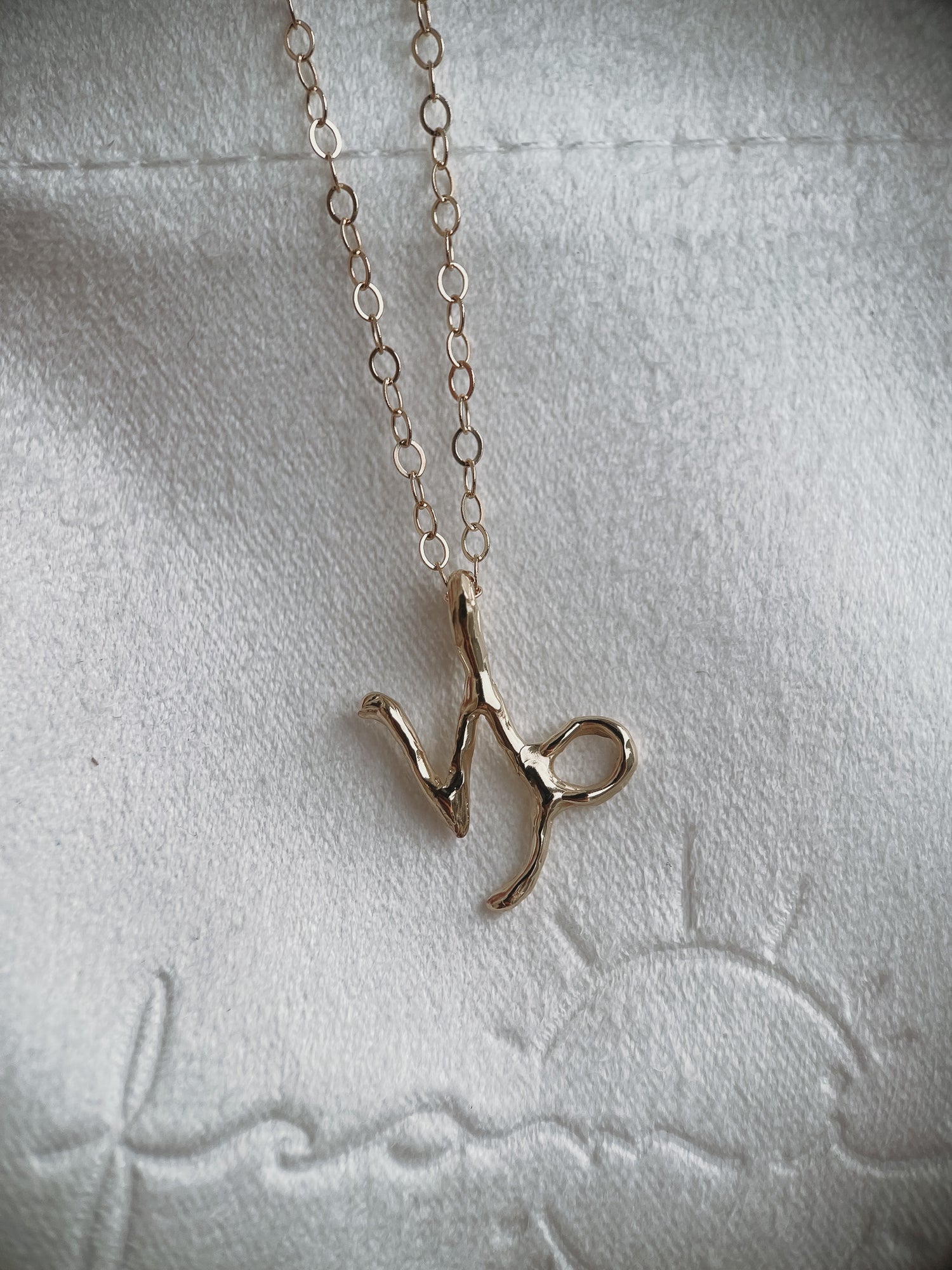 A 14k gold capricorn charm on a cable chain necklace.
