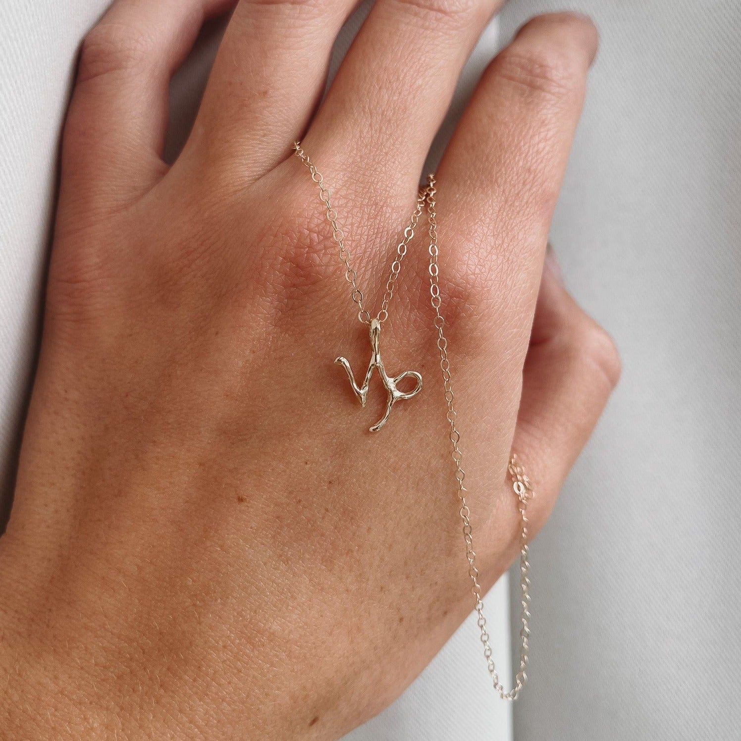 A 14k gold capricorn charm on a cable chain necklace.