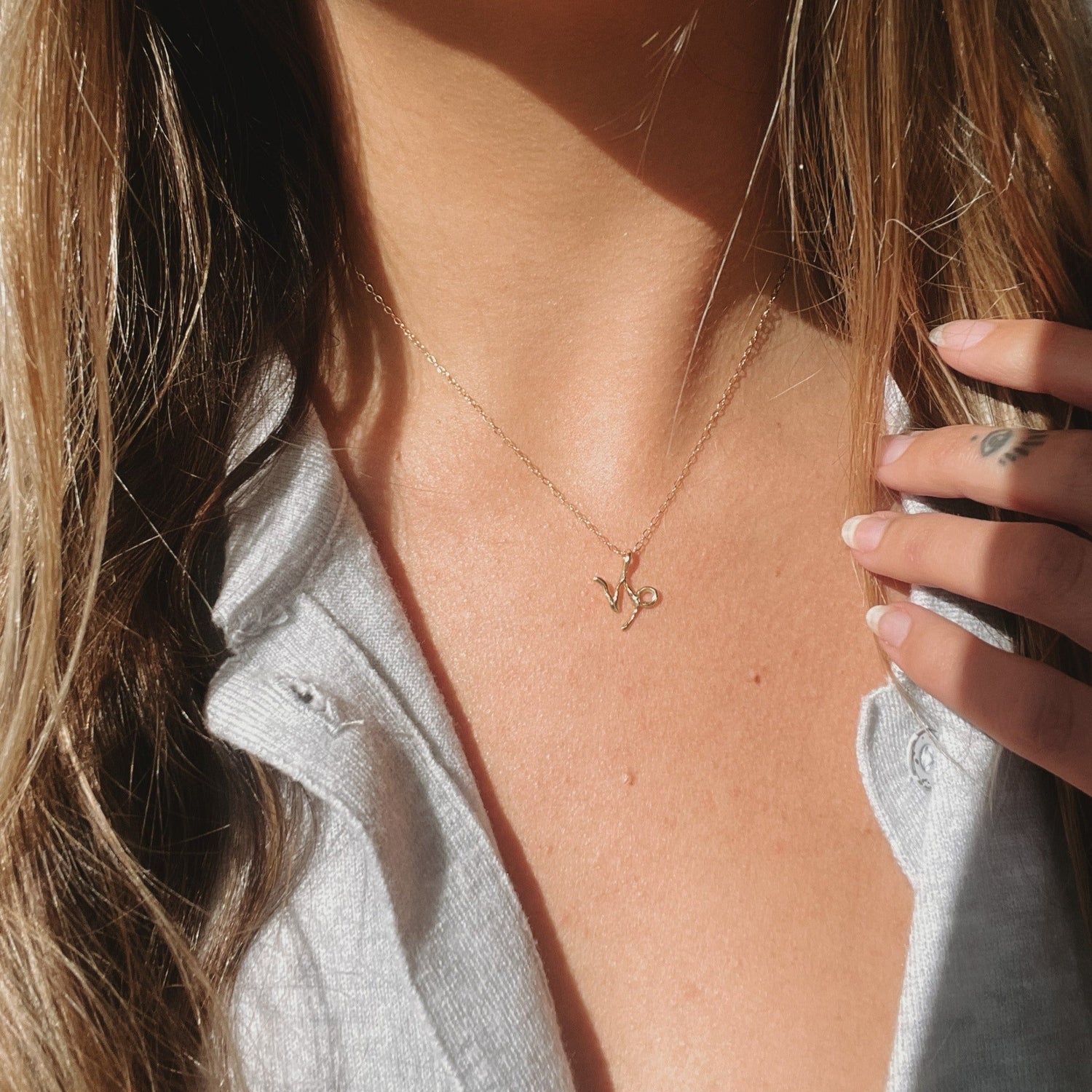 A 14k gold capricorn charm on a cable chain necklace.