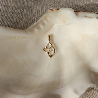 Sacred Sea Charm | 14k Gold Conch Seashell