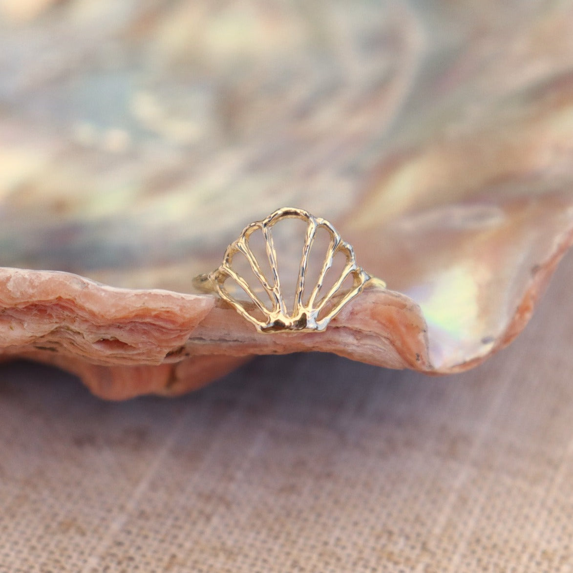 Close-up of an exquisite seashell ring, showcasing intricate details and a natural, shell centerpiece, capturing the essence of coastal beauty and ocean-inspired jewelry design.