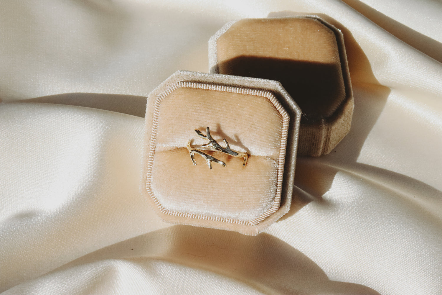 A gold coral branch ring is displayed inside a velvet ring box