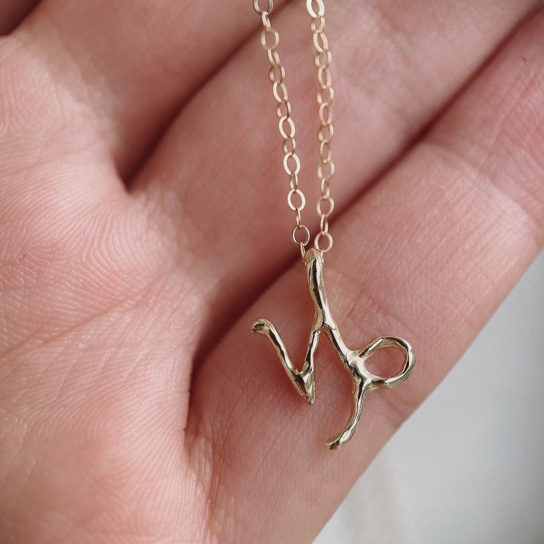 A 14k gold capricorn charm on a cable chain necklace.