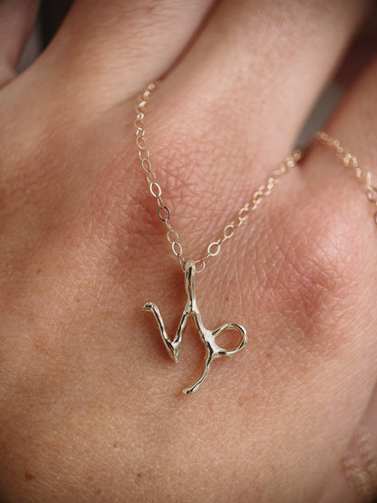 A 14k gold capricorn charm on a cable chain necklace.